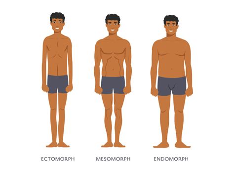 3 Main Male Body Types And How To Tell Them Apart Mindvalley Blog