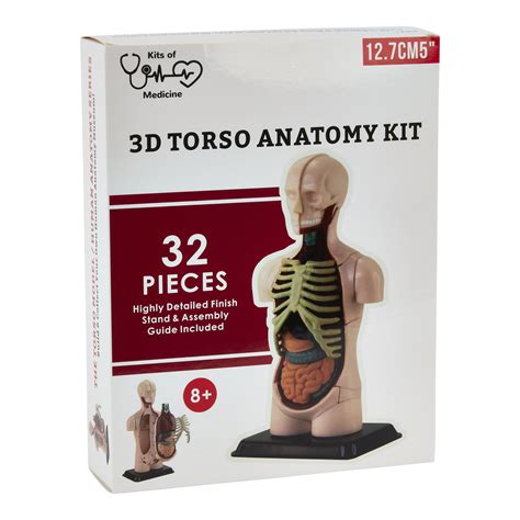 3d Torso Anatomy Kit 32 Pieces Kits Of Medicine
