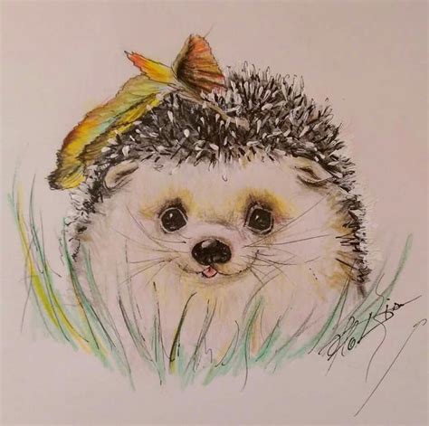The Cutest Porcupine Ever Colored Pencil Drawing Animal Drawings