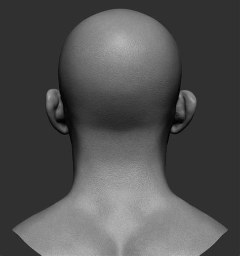 Realistic Male Head 3d Model Cgtrader