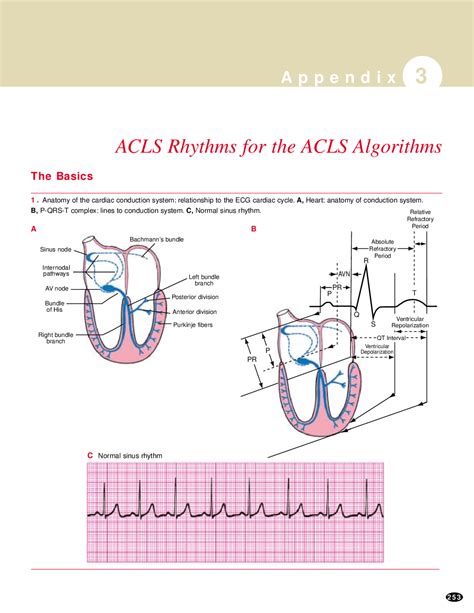 Acls Rhythm Cheat Sheet