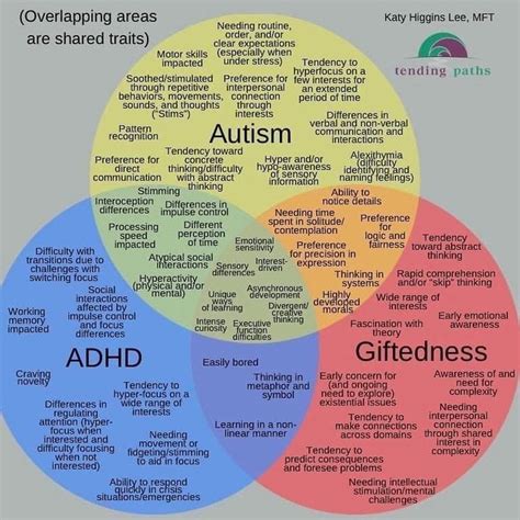 The Link Between Adhd Autism And Tedness Rcoolguides