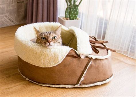 Fluffy Warm Sherpa Moccasin Shoe Cat Bed Vegan Materials Unique Modern