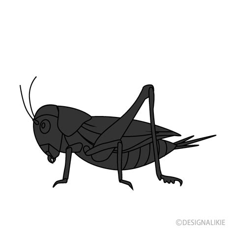 Cricket Silhouette Free Png Image｜illustoon