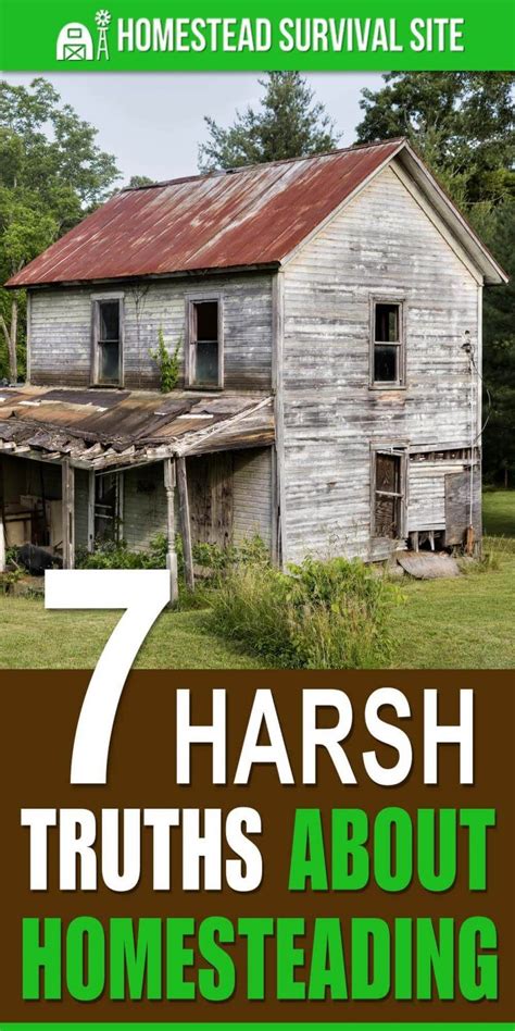 7 Harsh Truths About Homesteading Homestead Survival Site Homestead