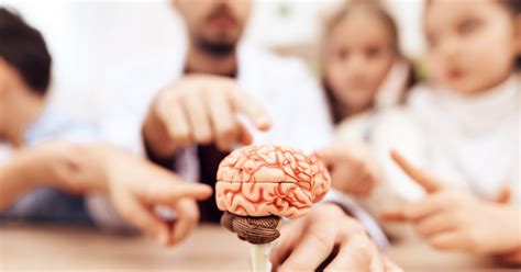 Brain Tumors In Children Early Common Signs Cytecare Hospitals
