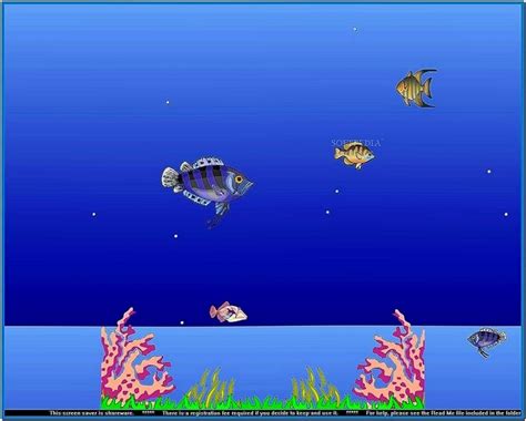 Moving Fish Tank Screensaver Mac Download Screensaversbiz