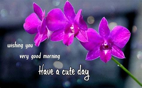 Create have a nice day/have good day greeting card pictures online free. Wishing You Very Good Morning Have A Nice Day