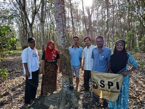 SPI Sumatera Selatan Ramaikan Kampanye Terbuka Jokowi Di Palembang Serikat Petani Indonesia