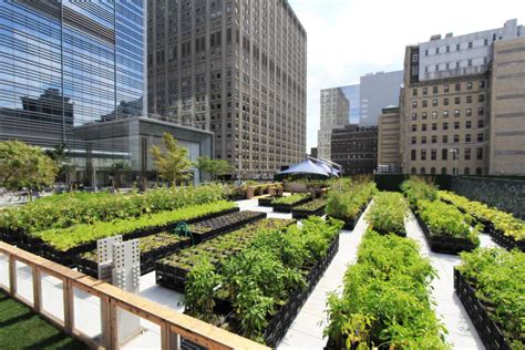 Cream Of The Crop 8 Architecture Firms Leading The Urban Farming