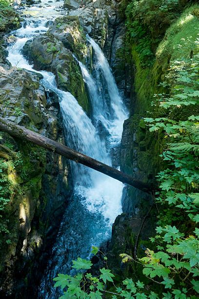 Sol Duc River Stock Photos Pictures And Royalty Free Images Istock