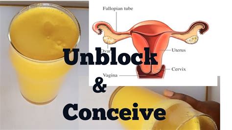 How To UNBLOCK FALLOPIAN TUBES Naturally Conceive Fast Natural