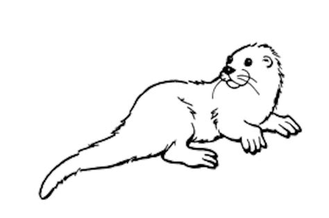 Otter Coloring Pages Printable Coloring Pages