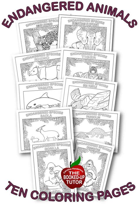 10 Endangered Animal Coloring Pages Unique Coloring Pages Animal