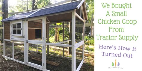 We Bought A Small Chicken Coop From Tractor Supply Our Review