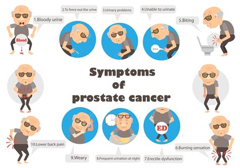 Signs and symptoms of prostate cancer. Disorders of the Male Reproductive System | STD.GOV Blog