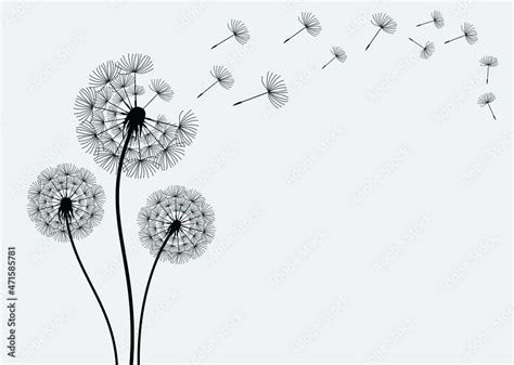 Vector Dandelion Blowing Silhouettevector Isolated Decoration Element