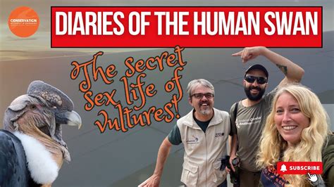 The Secret Sex Life Of Vultures Youtube