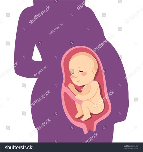 Baby In Womb Cartoon Images Stock Photos And Vectors Shutterstock
