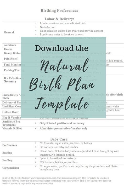 Free Birth Plan Template How To Create A Natural Birth Plan That Rocks Birth Plan Birth