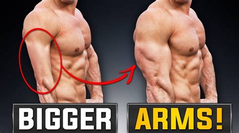 2 Reasons Your Arms Stopped Growing! | Muscular Strength