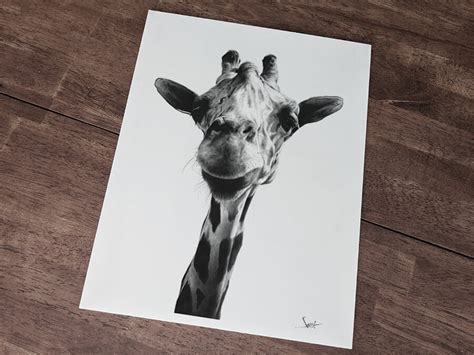 Realistic Portrait Giraffe Drawing