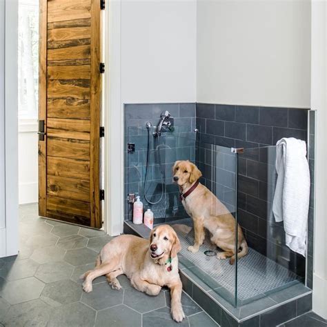 Dogs Have Their Own Showers Now And We Really Want One In Our House