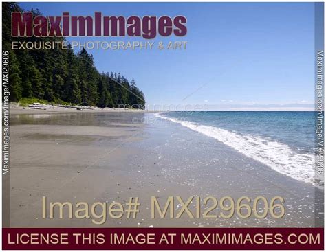Photo Of China Beach Sandy Shores Juan De Fuca Vancouver Island Stock
