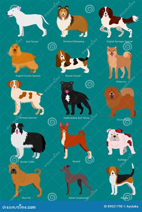 Medium Dog Breeds Dog Cute Cartoon Design Vector Puppy Dog Cartoons