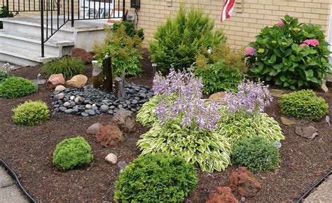 Best shrubs and hedges to line and cool garden walls in hot dry climates. low growing shrubs for front of house | Slow-growing ...