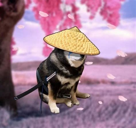 A Dog Wearing A Straw Hat Sitting Next To A Tree With Pink Flowers In