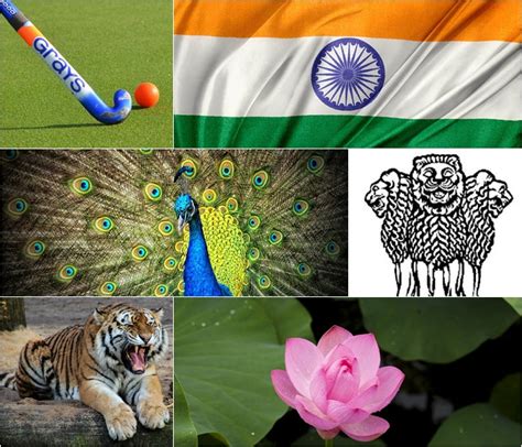National Symbols Of India In Hindi भारत के राष्ट्रिय चिन्ह
