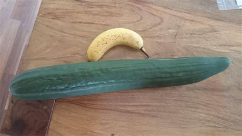 Huge Home Grown Cucumber Banana For Scale Rbananasforscale