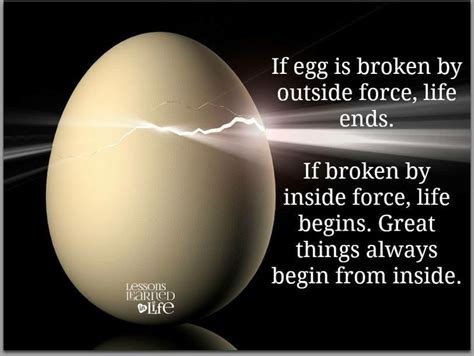 An Egg Is Broken By Outside Force Life Ends