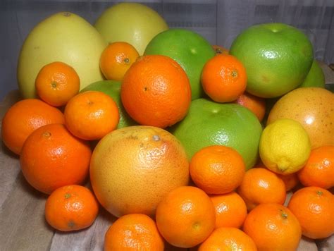 Suszone owoce cytrusowe - mandarynki, pomarańcze, cytryny... • mojedania.pl