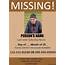 Missing Person Poster Example  Free Word Templates