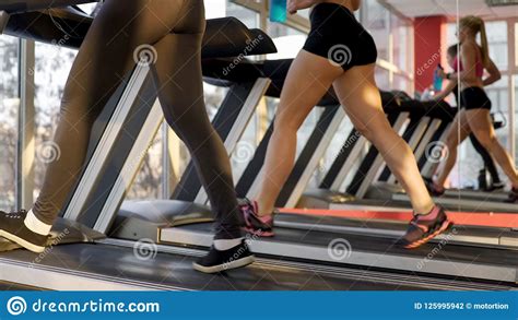 Fit Legs Of Beautiful Young Women Exercising On Treadmill In Gym