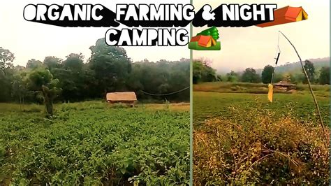 Satkosia Tiger Reserve Organic Farming Night Camp Youtube