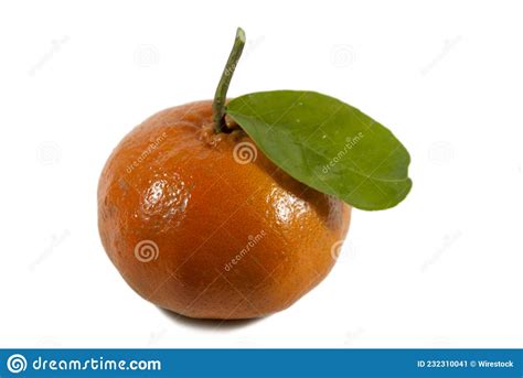 Organic Fresh Tangerine Harvested In Guatemala Tropical Fruit Fresh