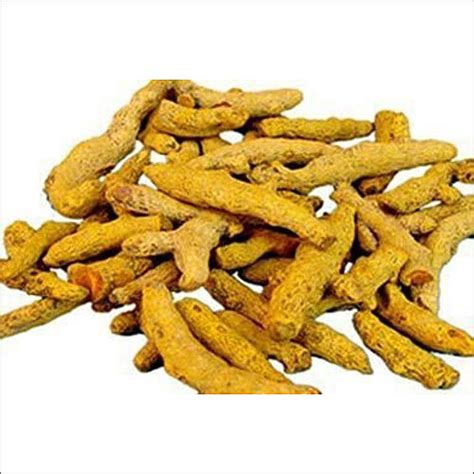 Fresh Whole Dried Turmeric At Best Price In Ahmedabad Aniket Enterprises