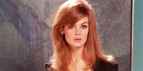 Supermodels Of The 1960s Famous 60s Models