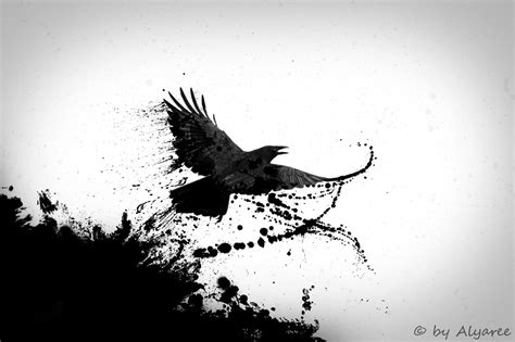 Black Phoenix By Alyaree On Deviantart