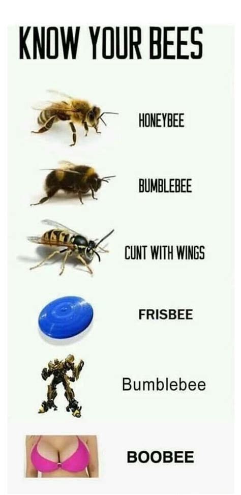 Know Your Bees Coolguides