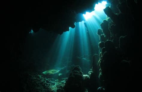 48 Underwater Cave Wallpaper On Wallpapersafari