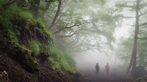 Check Details Following The Yoshida Trail On Mount Fuji