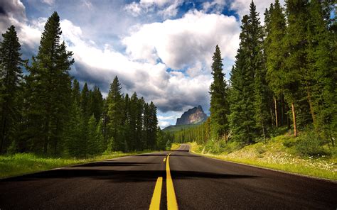 Road Near Forest During Daytime Hd Wallpaper Wallpaper Flare