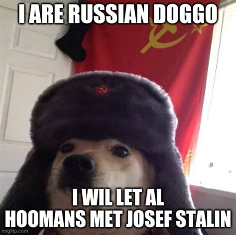 Image Tagged In Russian Doggo Cyka Blyat Imgflip