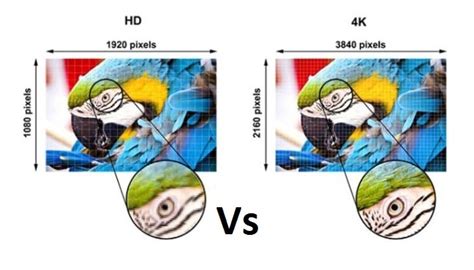 Diferencias Entre Televisores Full Hd Y 4k Uhd ¿cuál Es El Mejor