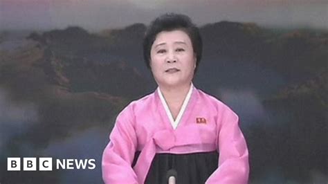 North Korea Tv Presenter Lashes Out At South Bbc News