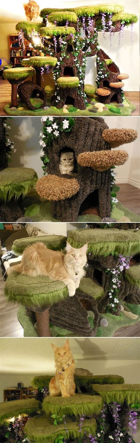 Cats love to be up high, whether they're scouting, hunting, or just cat trees serve a variety of purposes from rest to play. Realistic Cat Tree by the Hollywood Kitty Company | Pamper ...